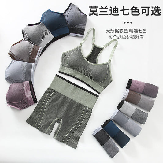 Seamless Women's Fitness Sports 2 Piece Set