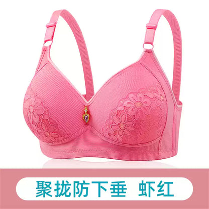 Elegance Lace Padded Bra .