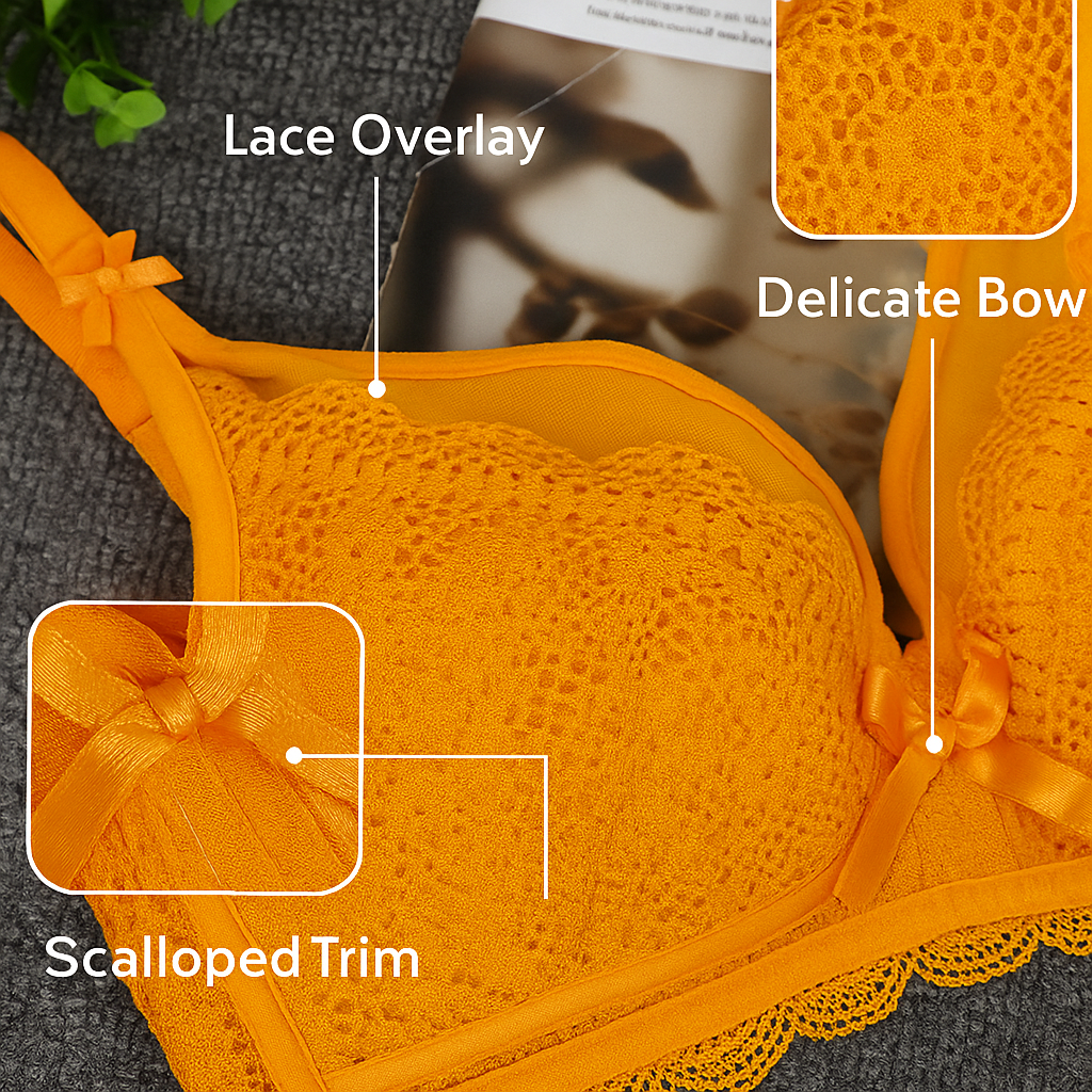 Elegant Lace Underwire Bra.