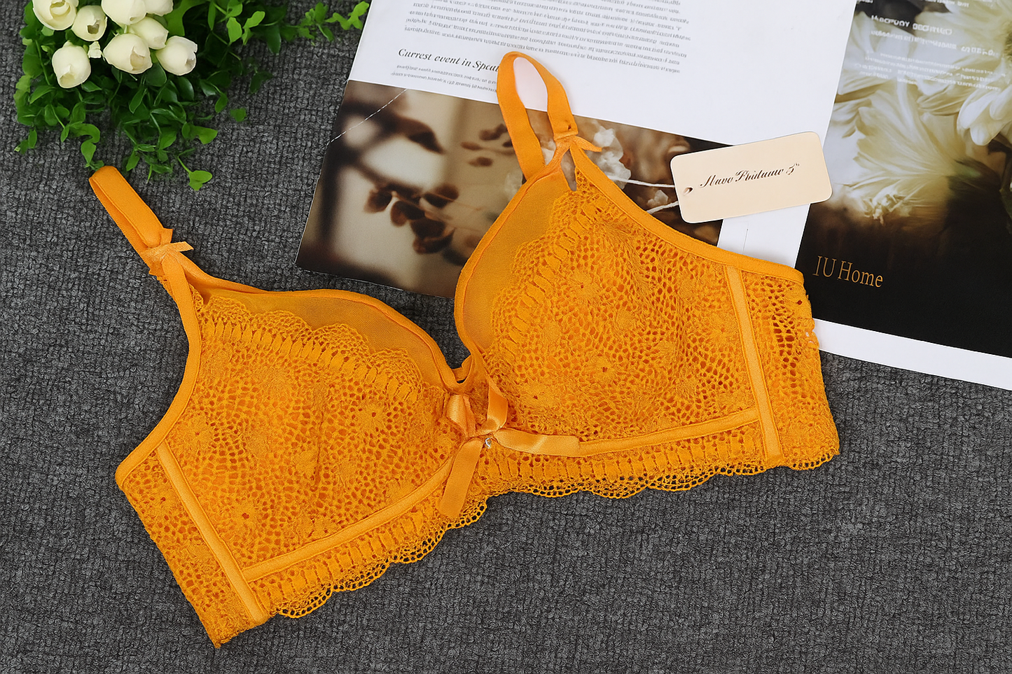 Elegant Lace Underwire Bra.
