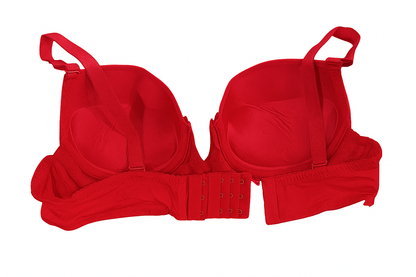Padded Lace Push-Up Bra.