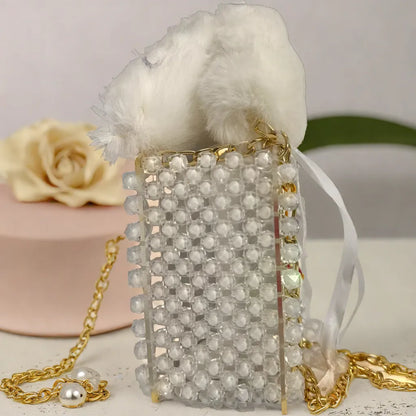 Transparent Acrylic Luxury Hand Bag